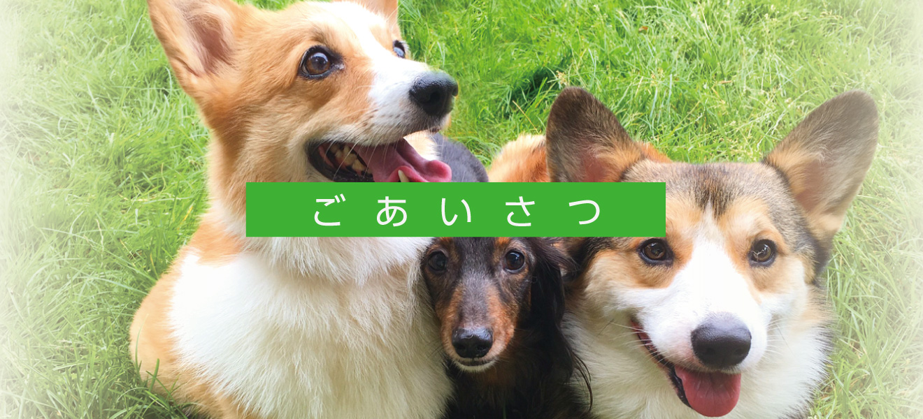 ヘッダー画像